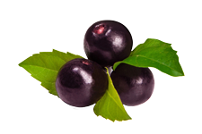Maqui berries